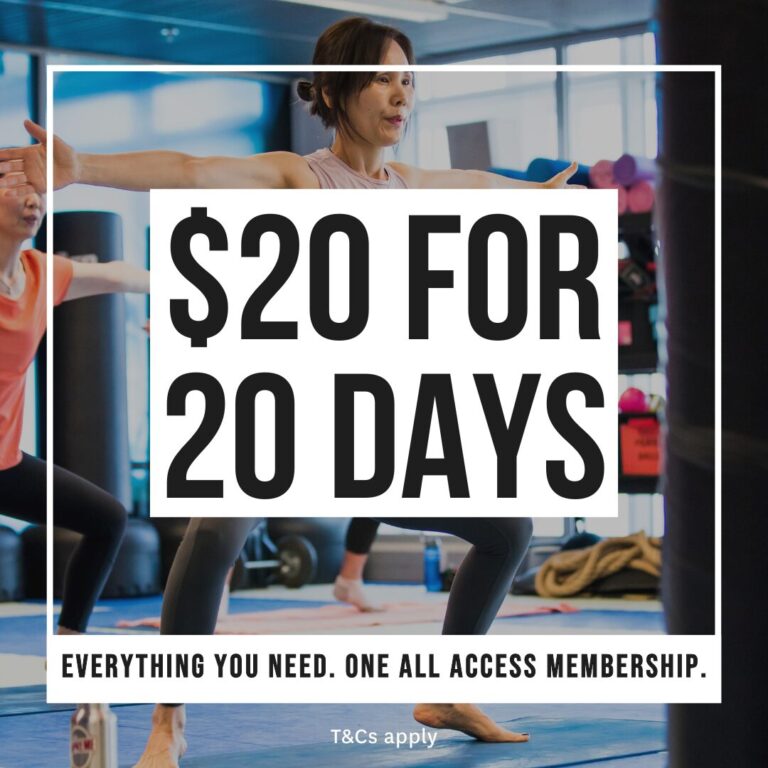 $20 for 20 Days All Access Pass