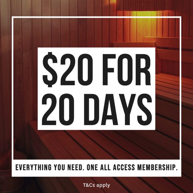 $20 for 20 Days All Access Pass